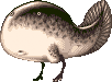 Tadpole from Umihara Kawase